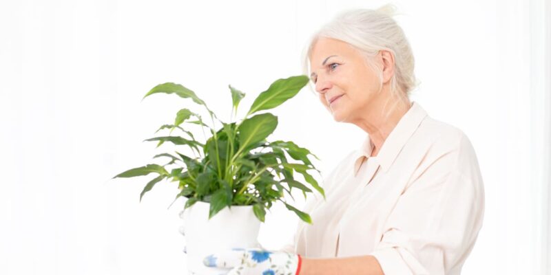 An elderly woman adorning her senior living apartment with a potted plant.