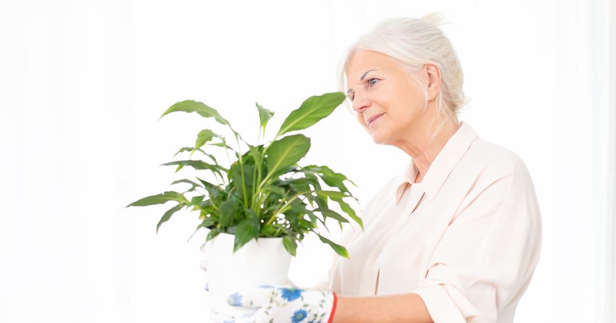 An elderly woman adorning her senior living apartment with a potted plant.