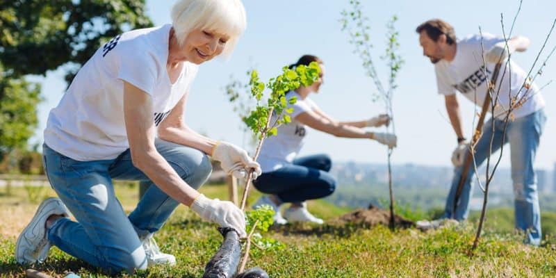 A group of retirees planting trees in a park in the Tampa Bay area.