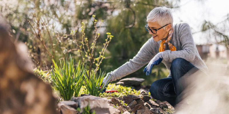 How Horticulture Therapy Can Help Weed Out Depression Older Adults