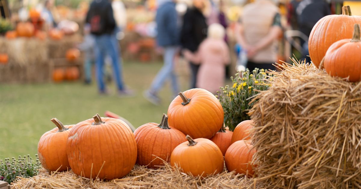 Floridas Fall Festivities