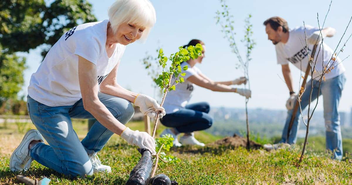 Elderly woman and two adults wearing volunteer shirts from St. Mark Village planting young trees outdoors on a sunny day, celebrating community and senior living.